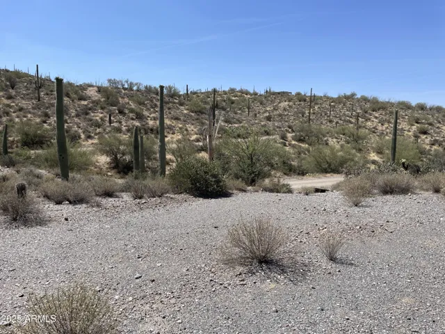 780