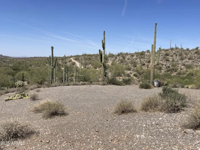 780