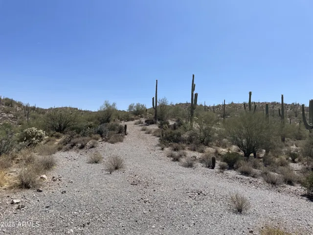 780