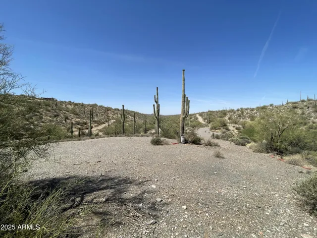 780