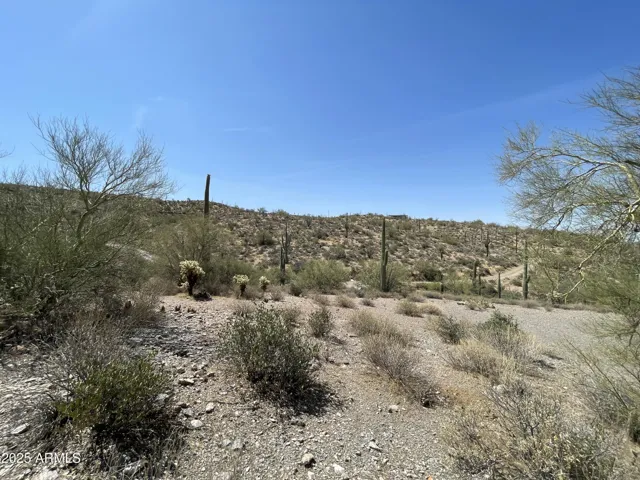 780
