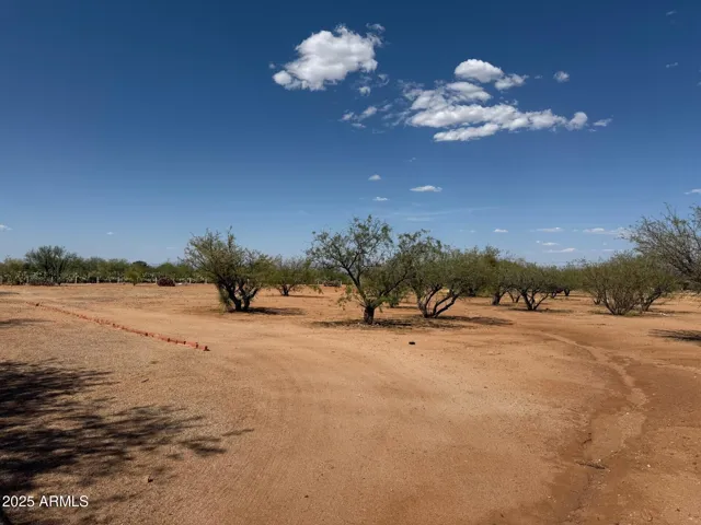 780