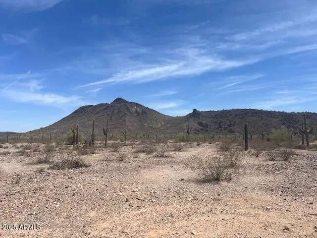 780