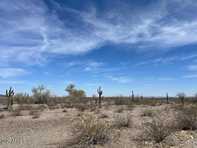 780