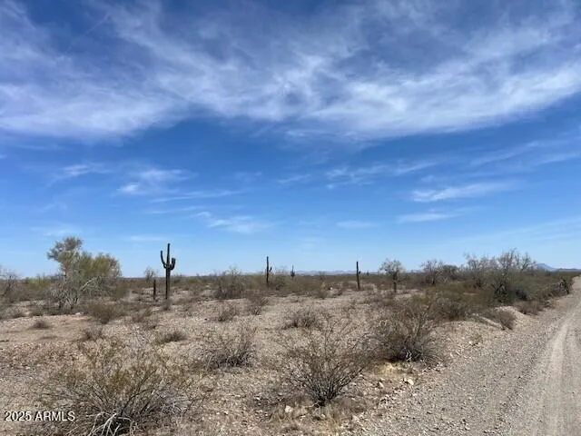 780
