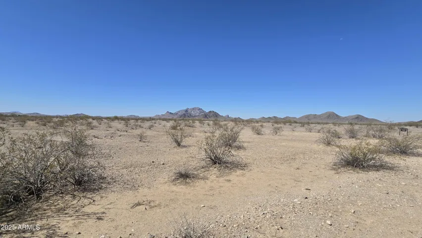 780