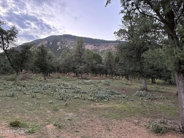 780