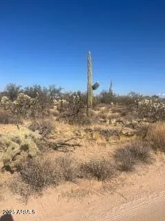 780
