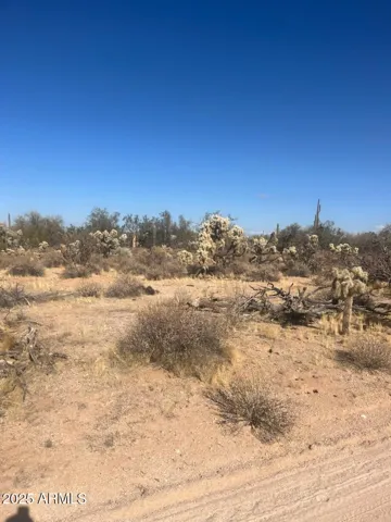 780