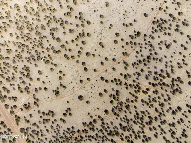 780
