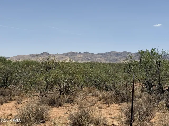 780