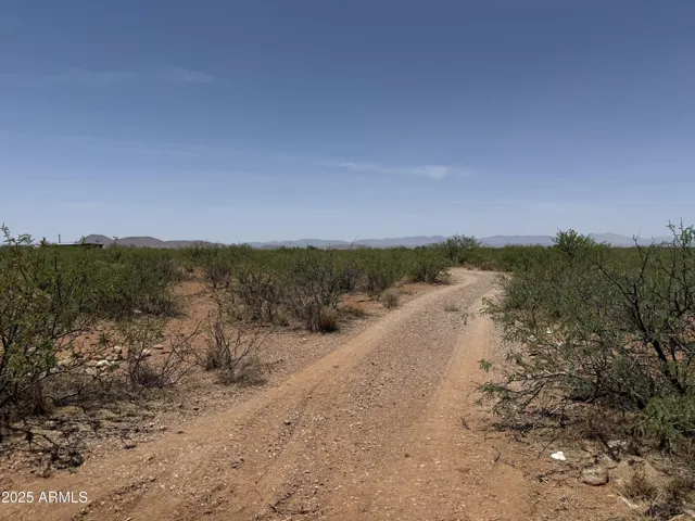 780