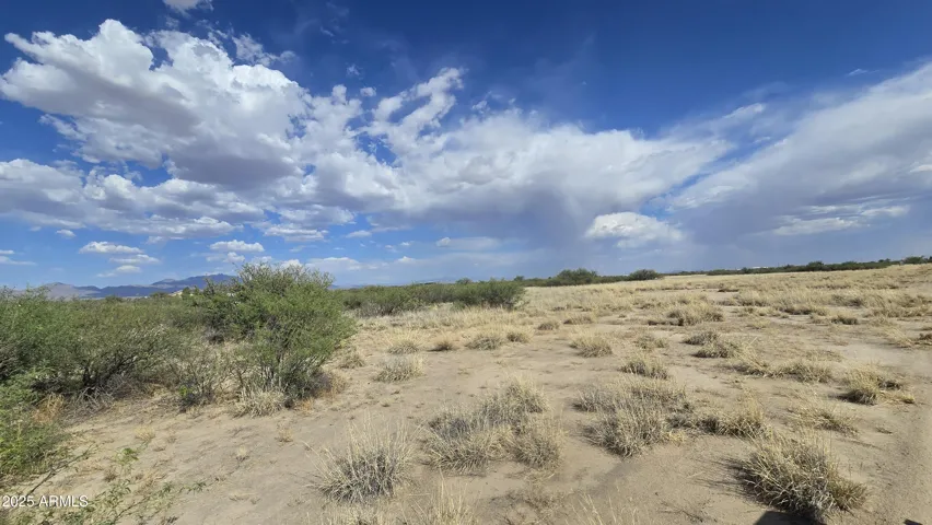 780