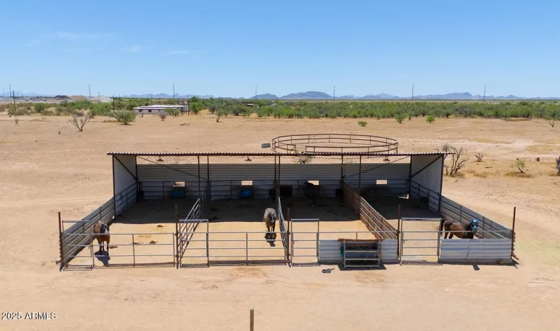 4 Large Horse Stalls