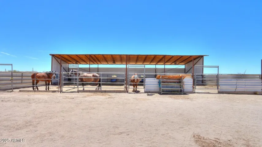 4 Large Horse Runs