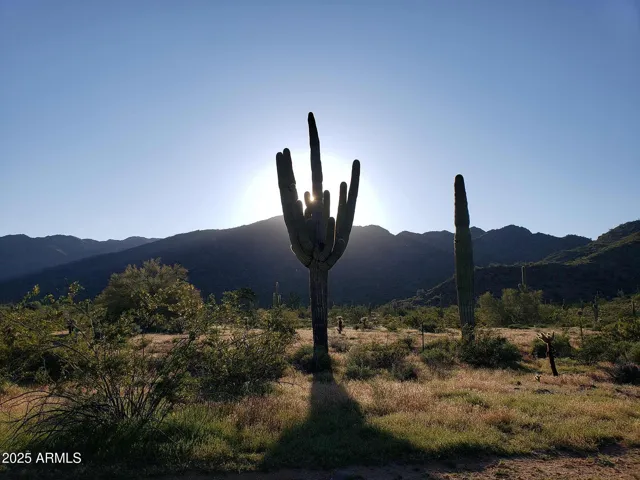 780
