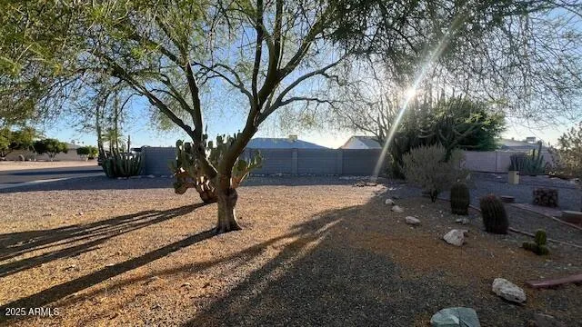 780