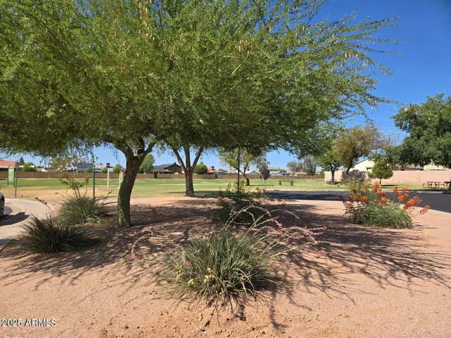 780