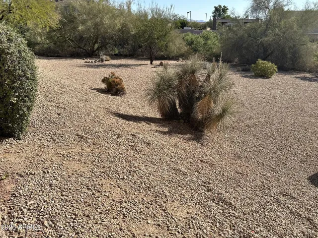 780