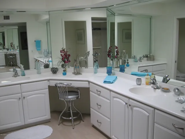 master bath with double sinks and lots of counter space