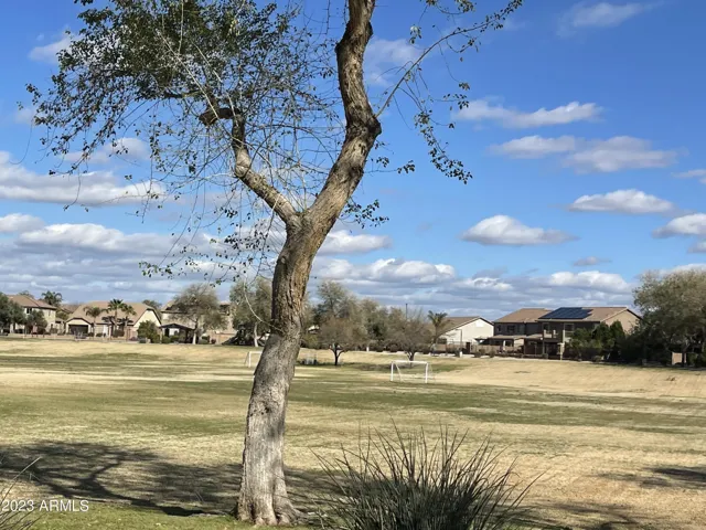 780