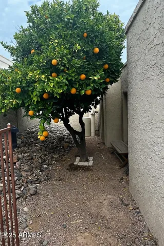 780