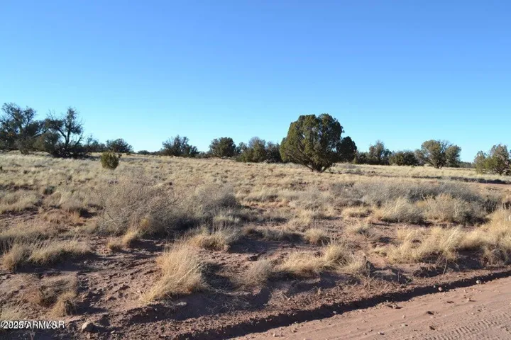 780