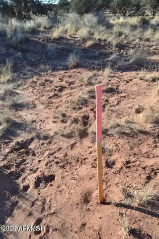 780