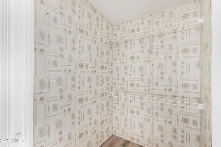 master closet 1