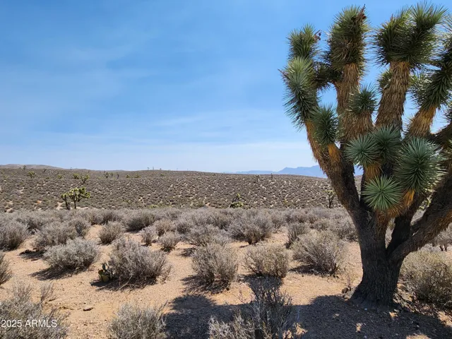 780