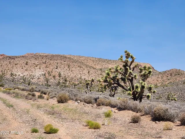 780