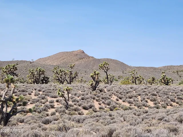 780