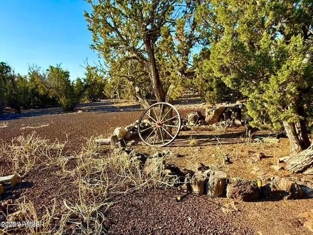 780