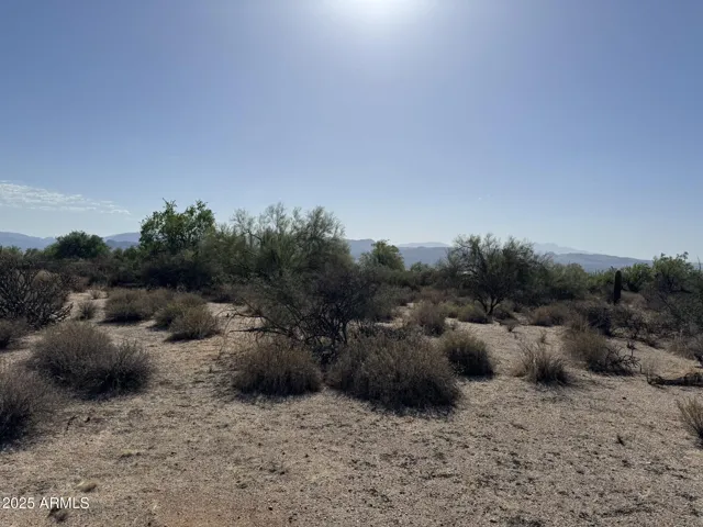 780
