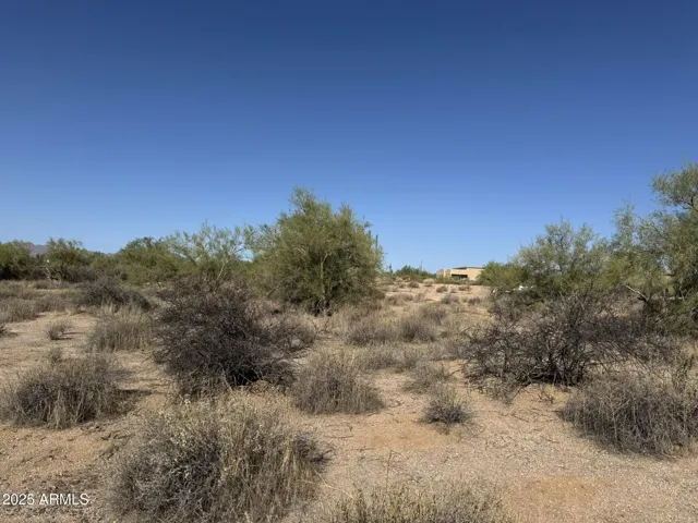 780