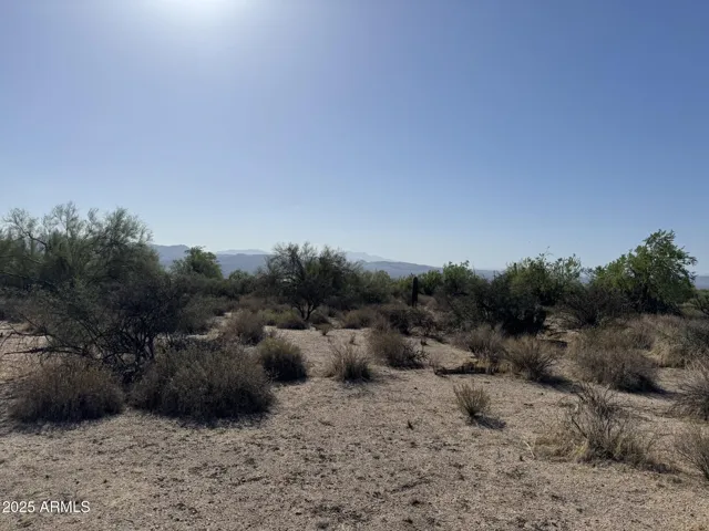 780