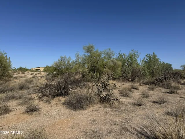780
