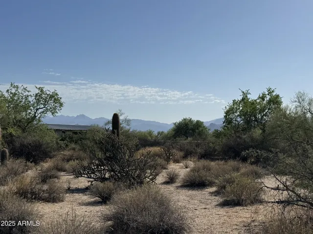 780