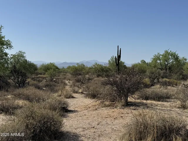 780