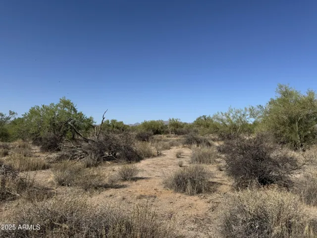780