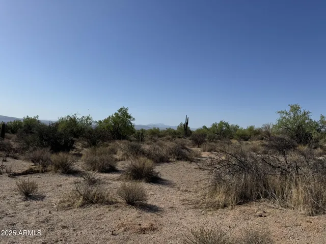 780