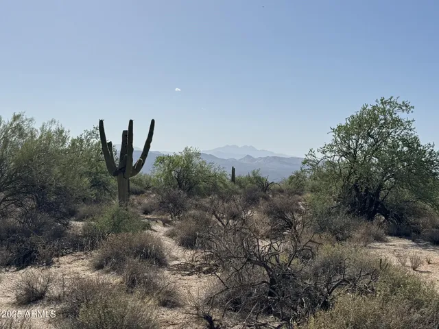 780