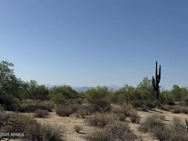 780