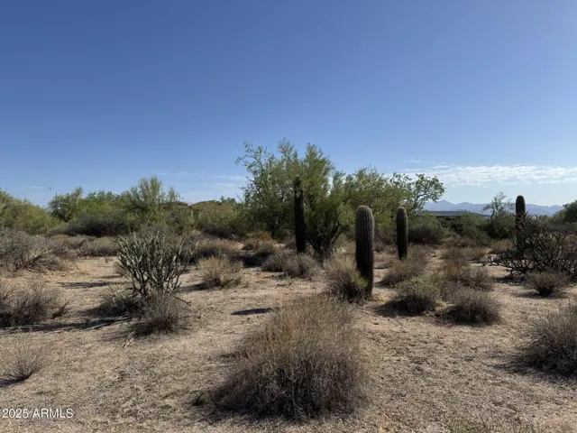 780