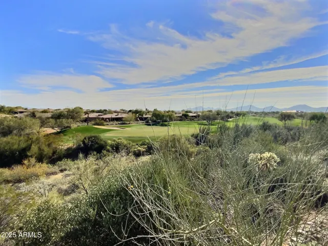 Persimmon #4 Green