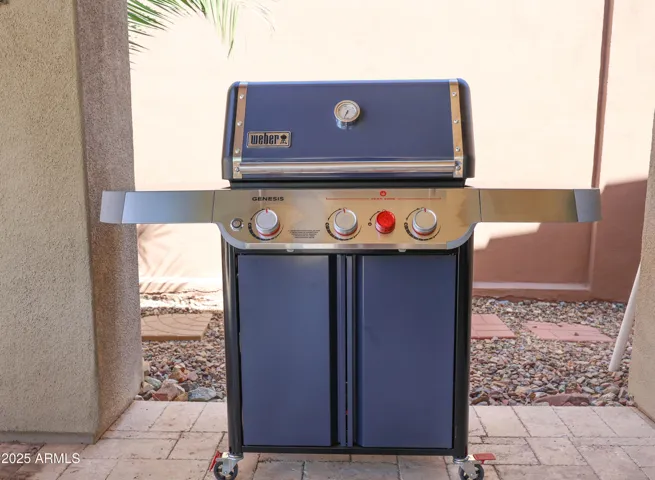 Weber Grill