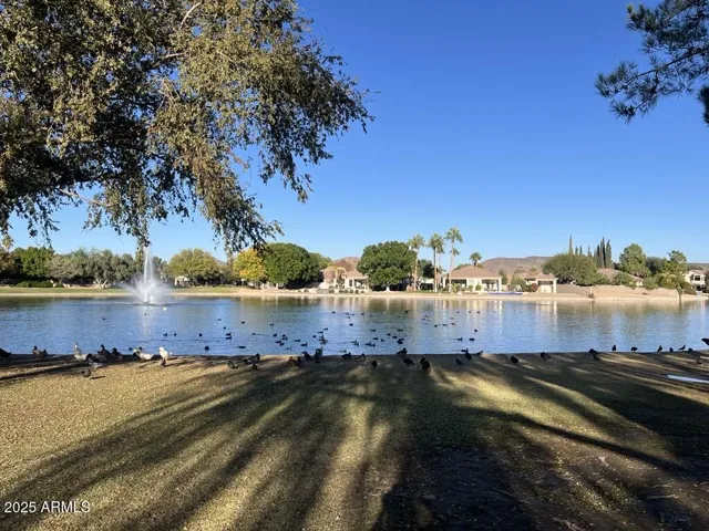 780