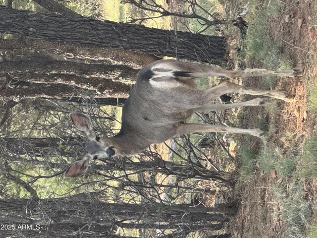 780