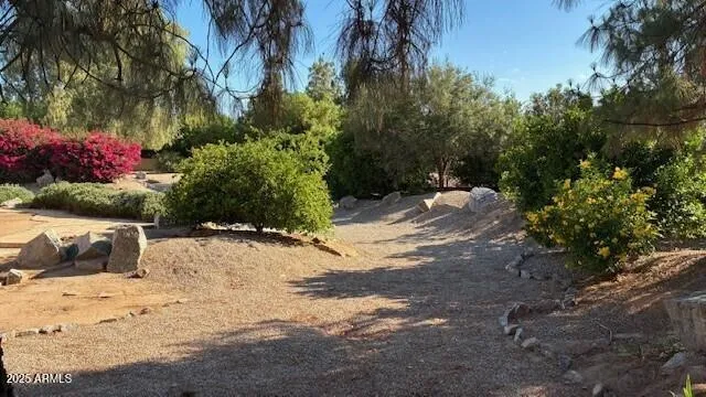 780