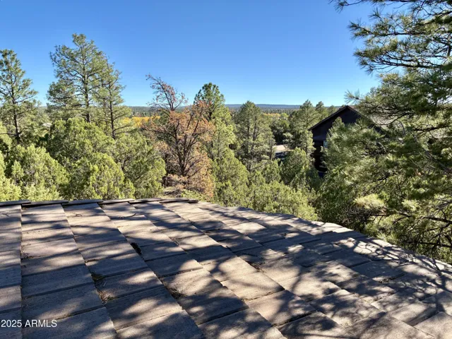 Tall Pines and Gorgeous Views